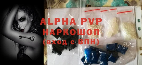 стаф Алексин