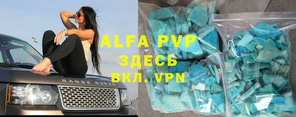 стаф Алексин