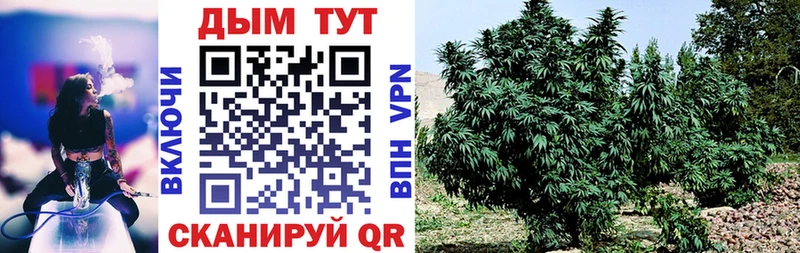 OMG как войти  Хвалынск  Каннабис Bruce Banner 
